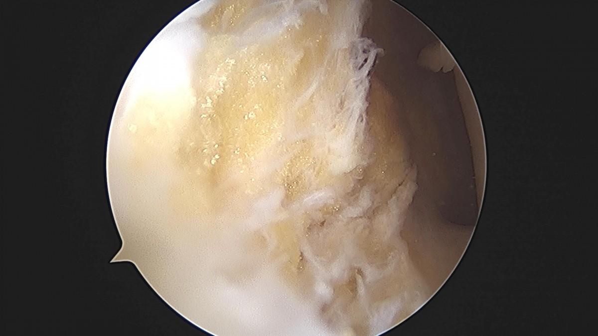3cd48a8e02e388456e21d82dd041ccef_1652067423_5669.jpg