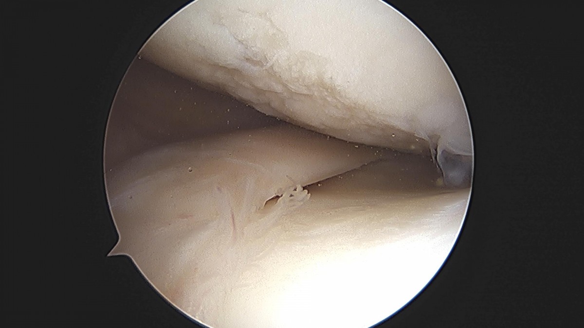 3cd48a8e02e388456e21d82dd041ccef_1652067424_1987.jpg