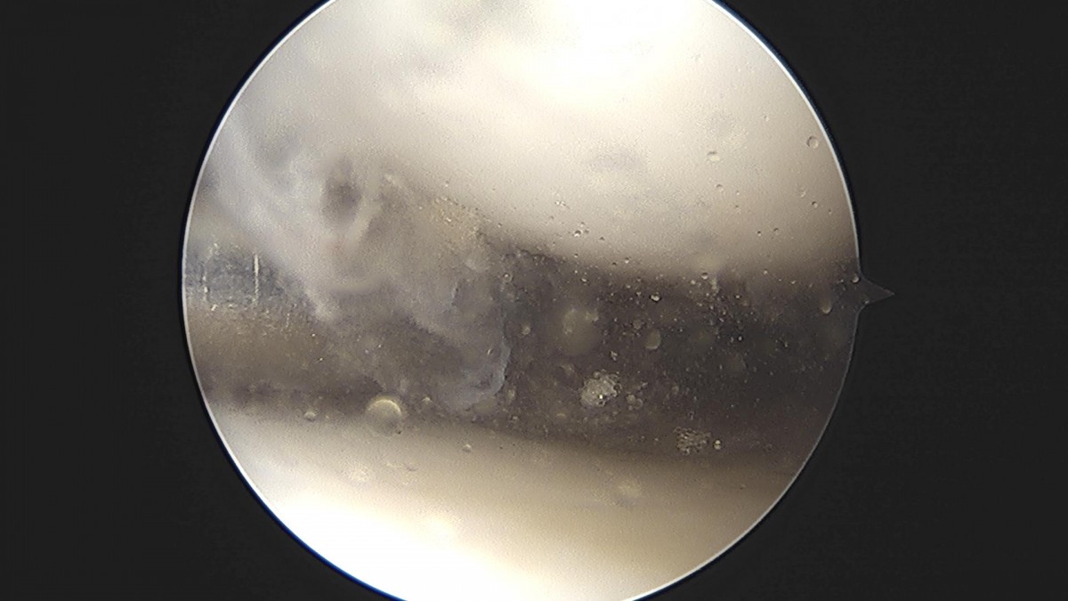 3cd48a8e02e388456e21d82dd041ccef_1652067424_8468.jpg