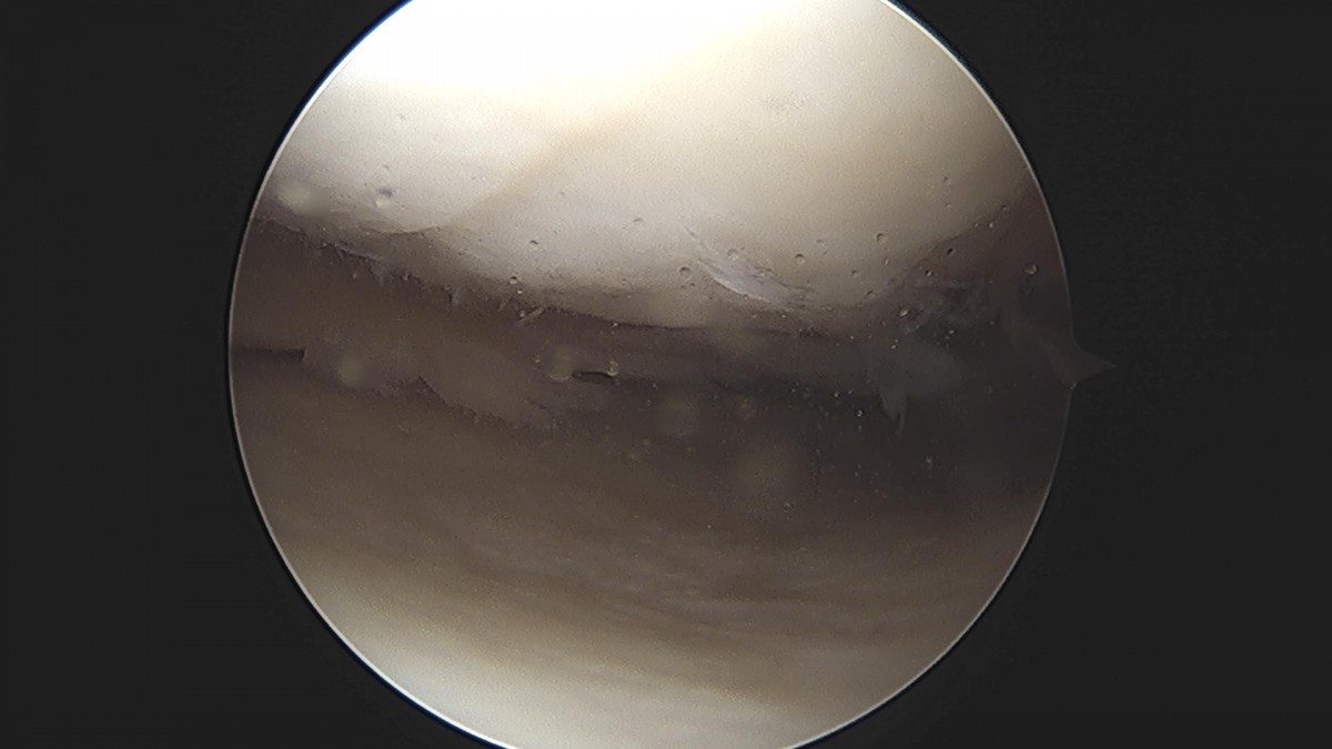 3cd48a8e02e388456e21d82dd041ccef_1652067425_4773.jpg