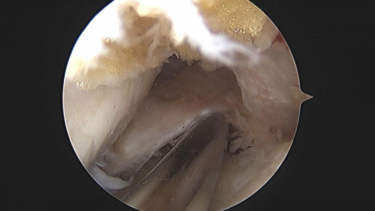 3cd48a8e02e388456e21d82dd041ccef_1652067426_1106.jpg