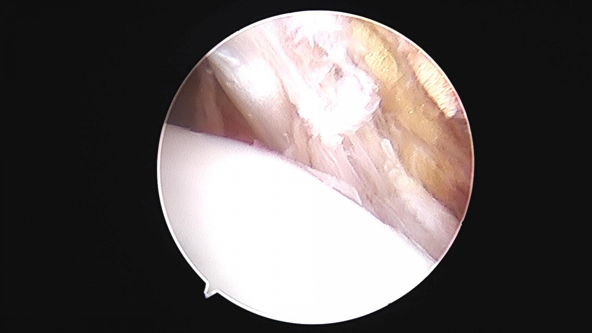 3cd48a8e02e388456e21d82dd041ccef_1652067504_7418.jpg