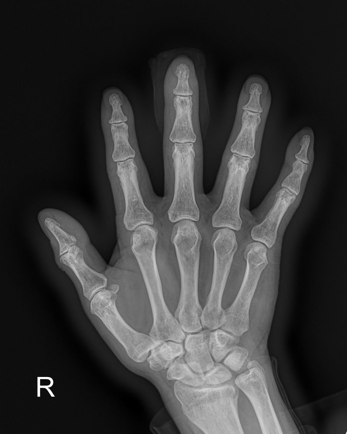 3cd48a8e02e388456e21d82dd041ccef_1652067578_0814.jpg