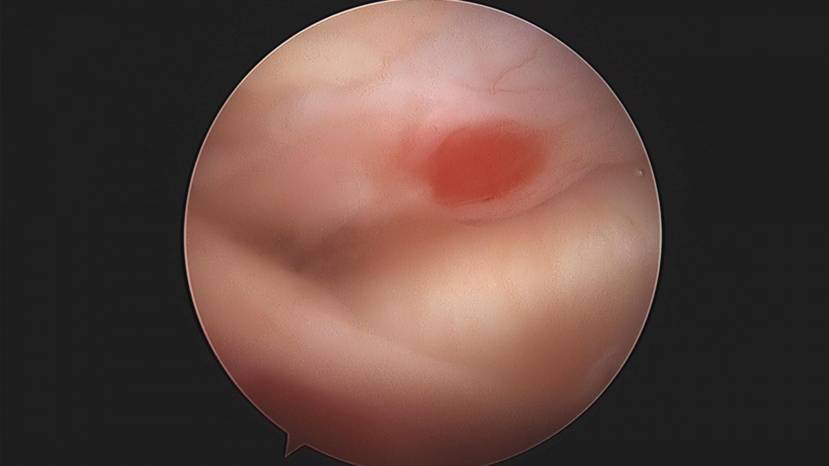 3cd48a8e02e388456e21d82dd041ccef_1652067805_0166.jpg