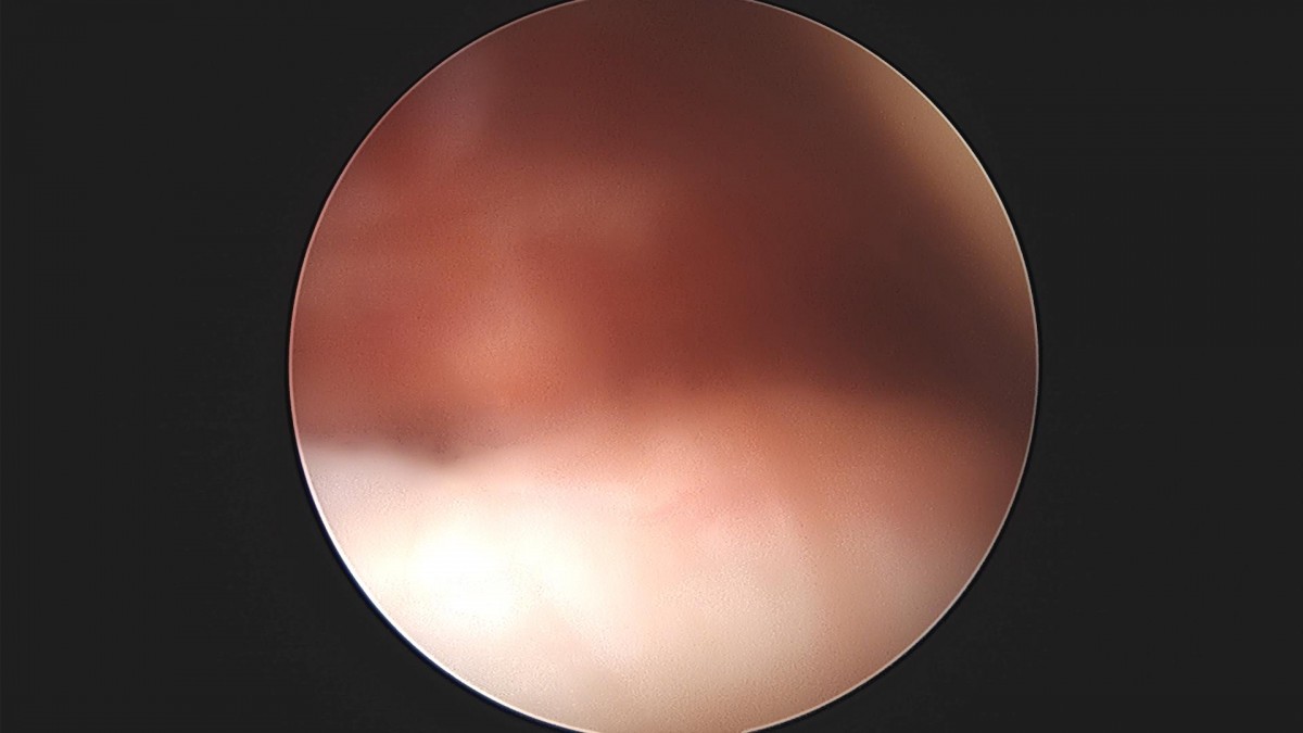 3cd48a8e02e388456e21d82dd041ccef_1652067807_053.jpg