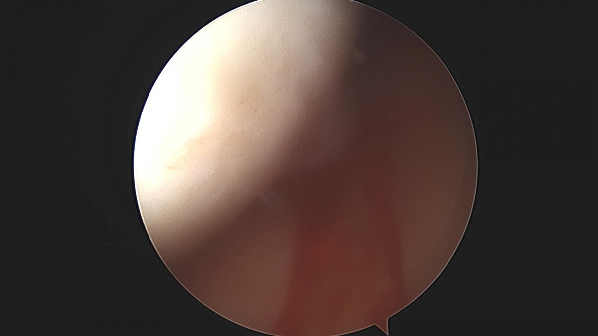 3cd48a8e02e388456e21d82dd041ccef_1652067808_4513.jpg