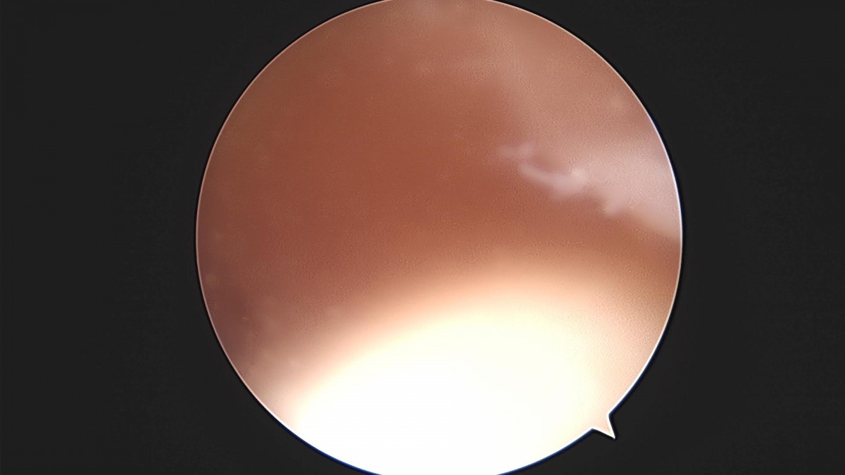 3cd48a8e02e388456e21d82dd041ccef_1652067809_7885.jpg