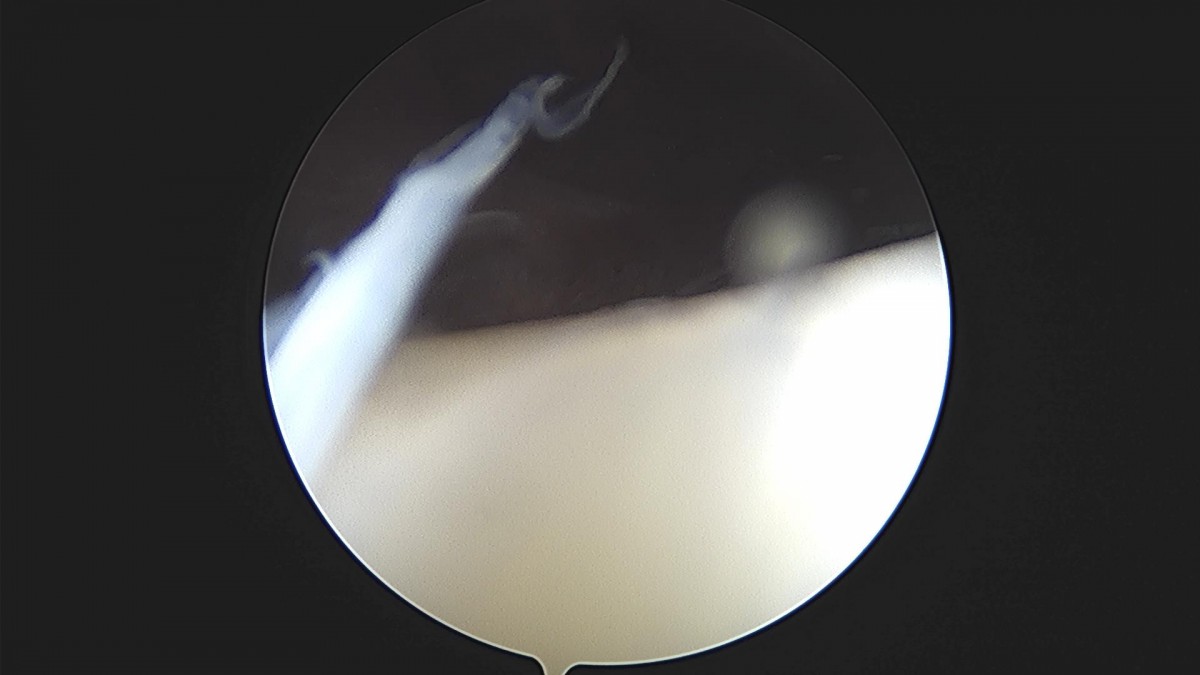 3cd48a8e02e388456e21d82dd041ccef_1652067924_4524.jpg