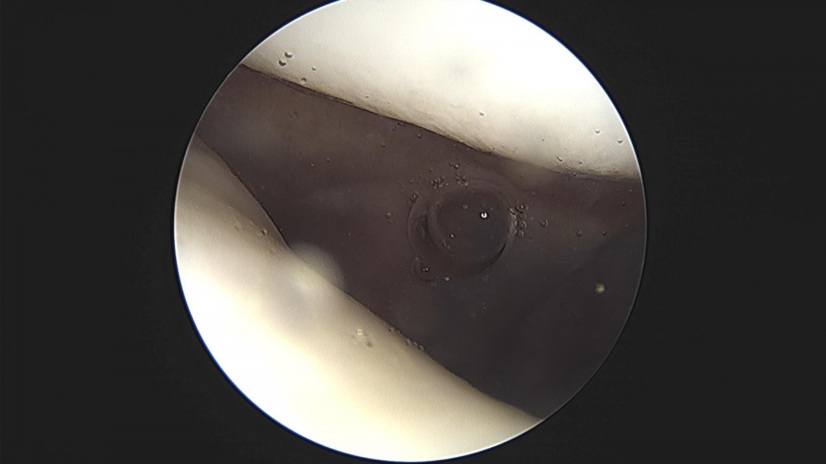3cd48a8e02e388456e21d82dd041ccef_1652067925_0943.jpg