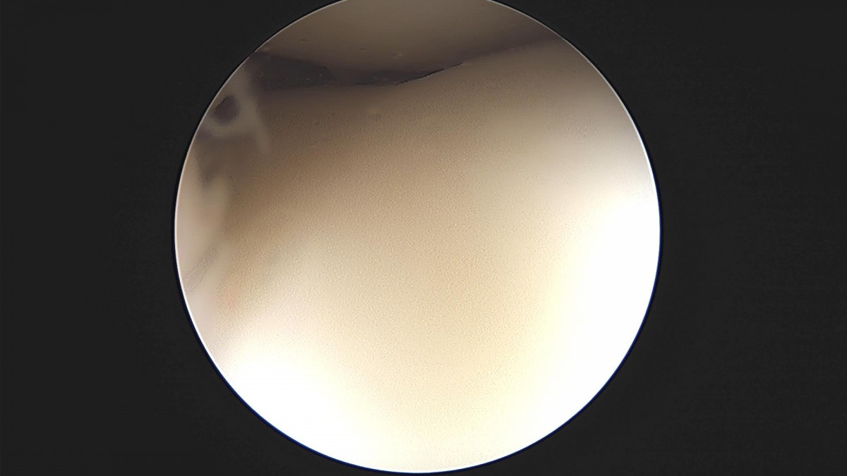 3cd48a8e02e388456e21d82dd041ccef_1652067925_7697.jpg