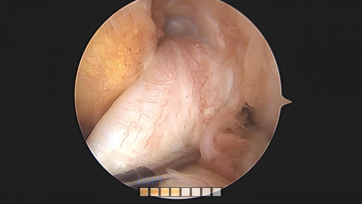 3cd48a8e02e388456e21d82dd041ccef_1652067927_062.jpg