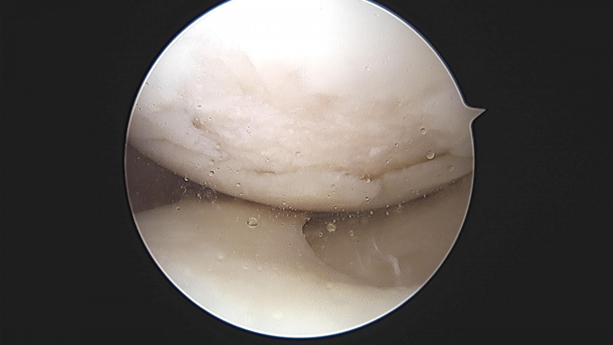 3cd48a8e02e388456e21d82dd041ccef_1652067927_7036.jpg