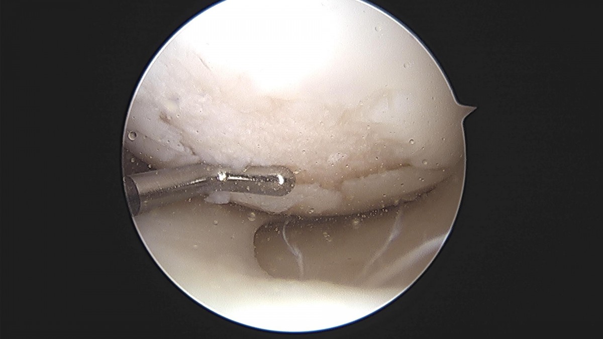 3cd48a8e02e388456e21d82dd041ccef_1652067928_351.jpg
