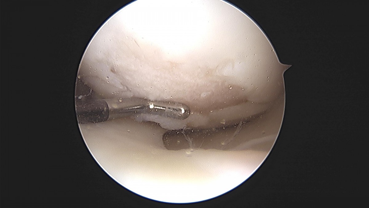 3cd48a8e02e388456e21d82dd041ccef_1652067929_0269.jpg
