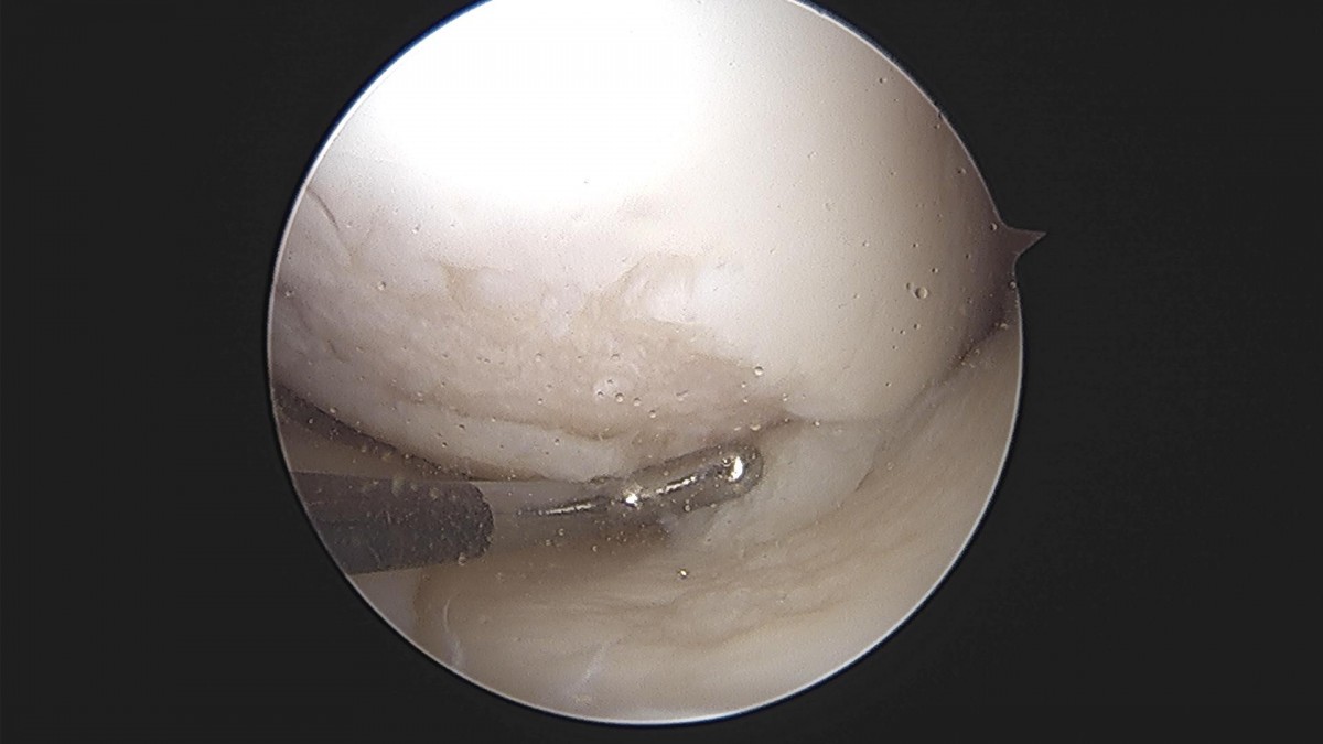 3cd48a8e02e388456e21d82dd041ccef_1652067929_7106.jpg