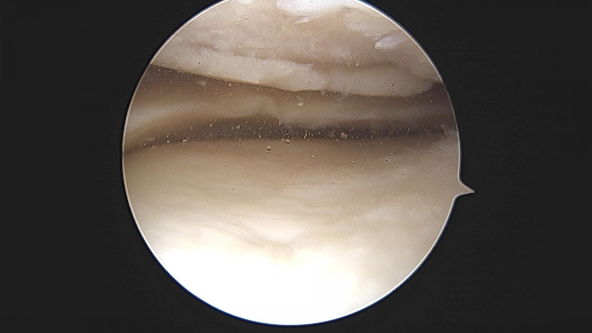 3cd48a8e02e388456e21d82dd041ccef_1652067930_3714.jpg