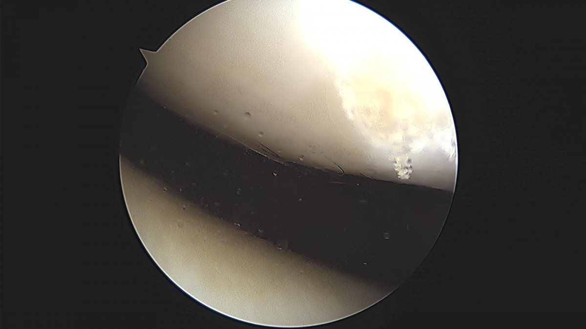 3cd48a8e02e388456e21d82dd041ccef_1652068019_341.jpg