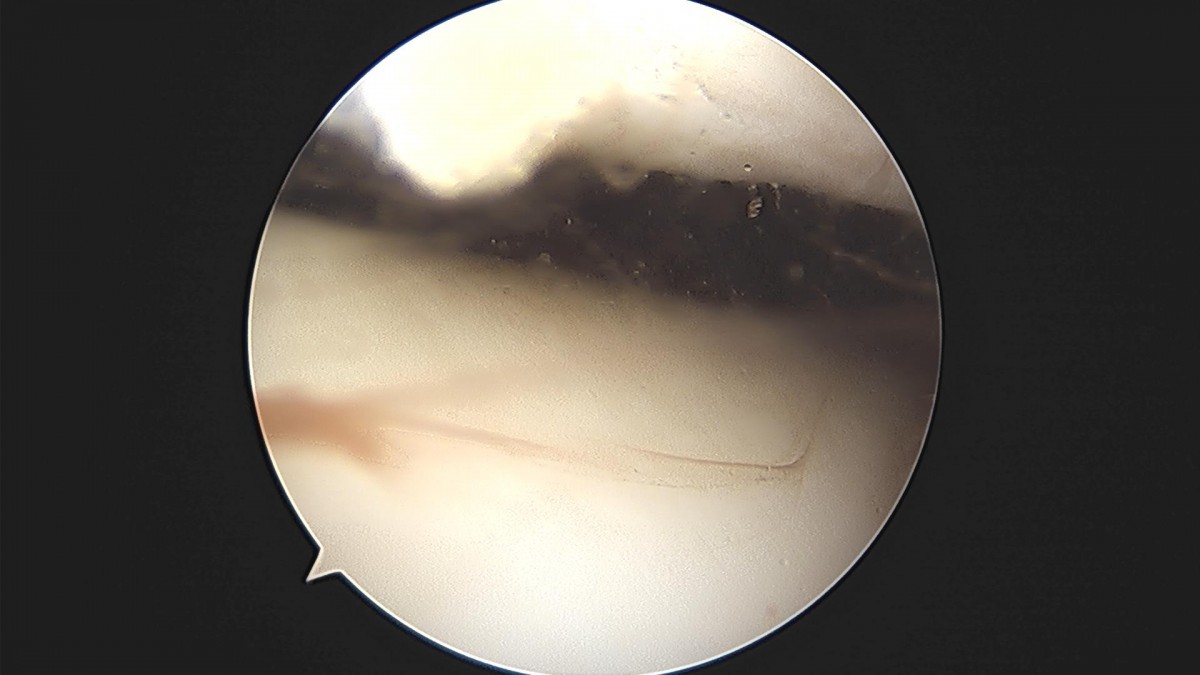 3cd48a8e02e388456e21d82dd041ccef_1652068020_0278.jpg