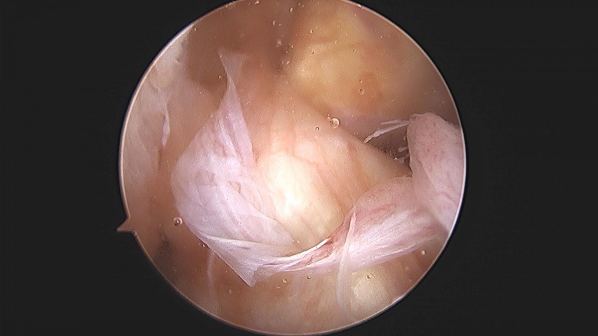 3cd48a8e02e388456e21d82dd041ccef_1652068021_3102.jpg