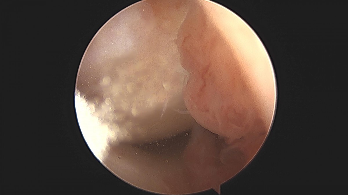 3cd48a8e02e388456e21d82dd041ccef_1652068022_6323.jpg