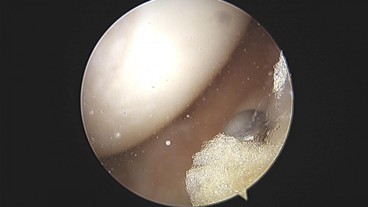 3cd48a8e02e388456e21d82dd041ccef_1652068023_9136.jpg