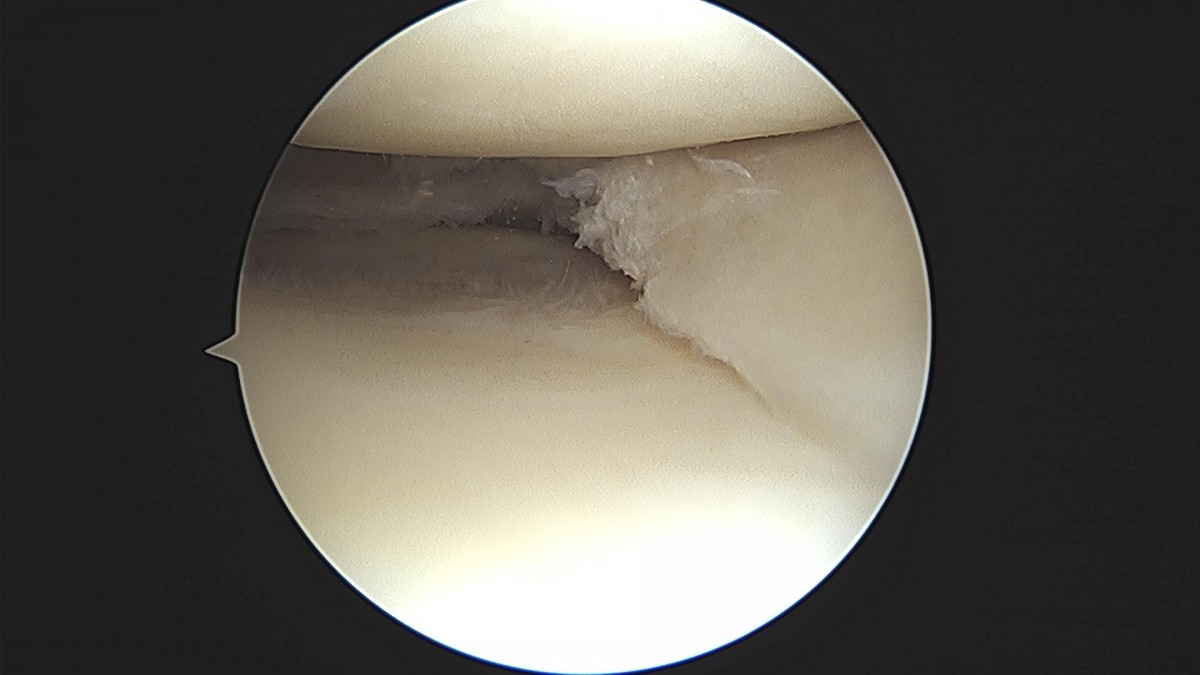 3cd48a8e02e388456e21d82dd041ccef_1652068033_6047.jpg