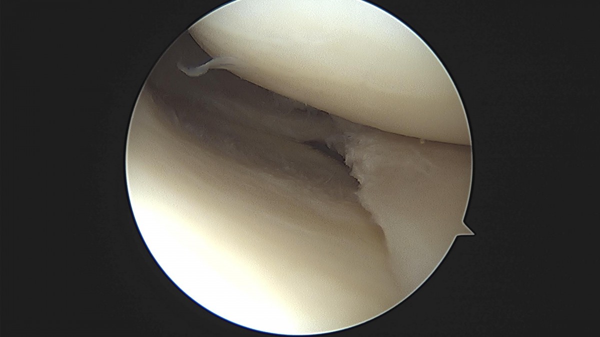 3cd48a8e02e388456e21d82dd041ccef_1652068034_2955.jpg