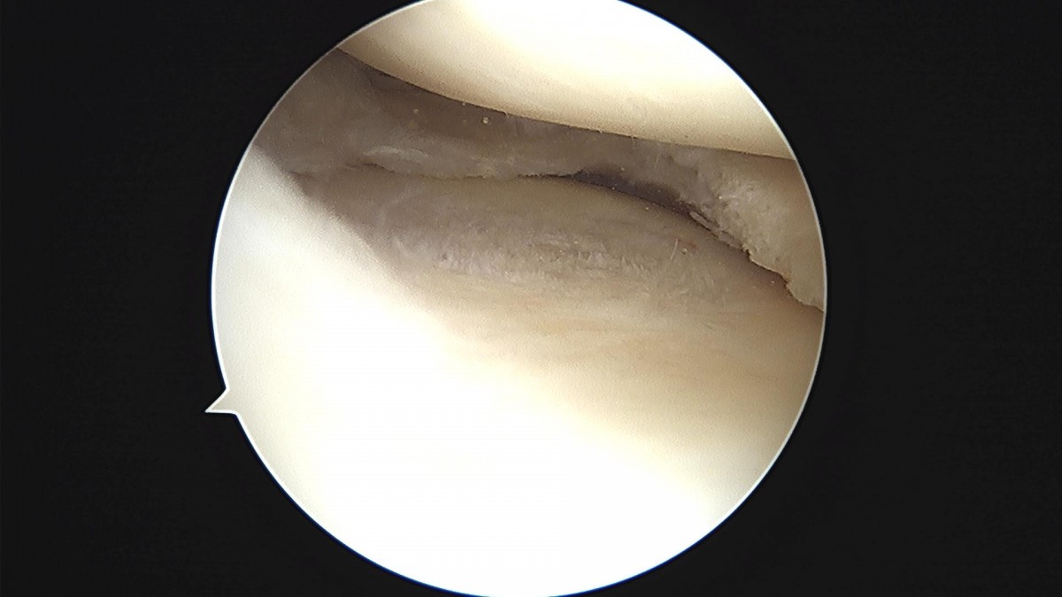 3cd48a8e02e388456e21d82dd041ccef_1652068036_3964.jpg