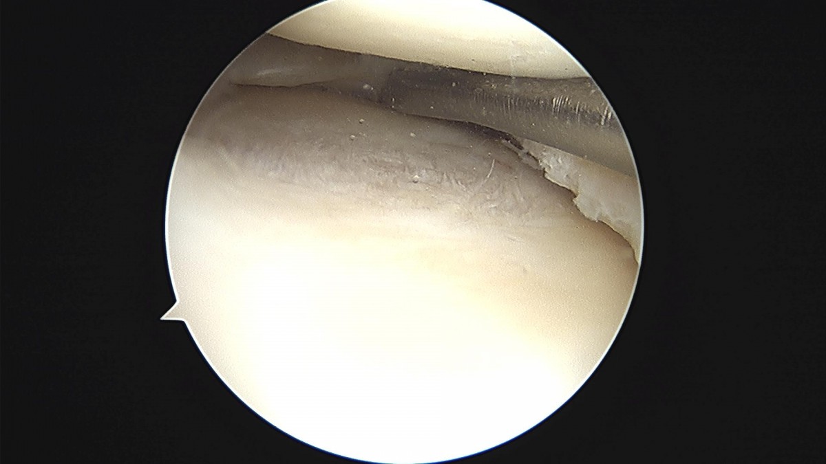 3cd48a8e02e388456e21d82dd041ccef_1652068037_1155.jpg