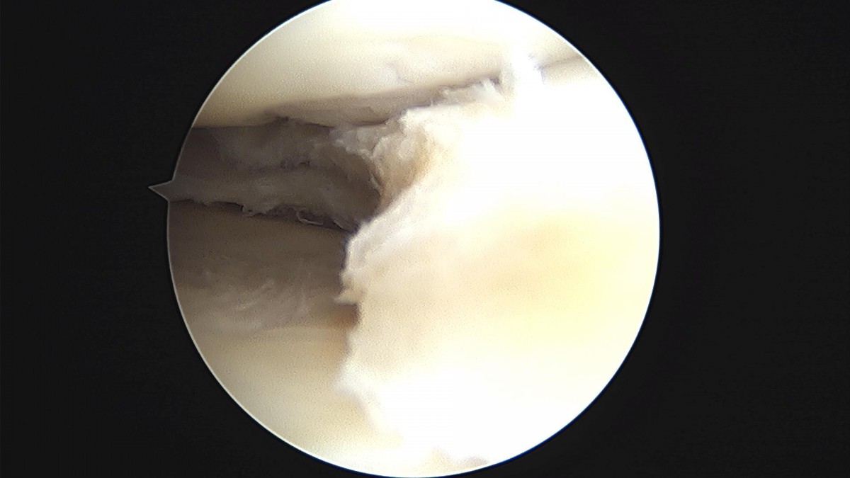 3cd48a8e02e388456e21d82dd041ccef_1652068037_7942.jpg