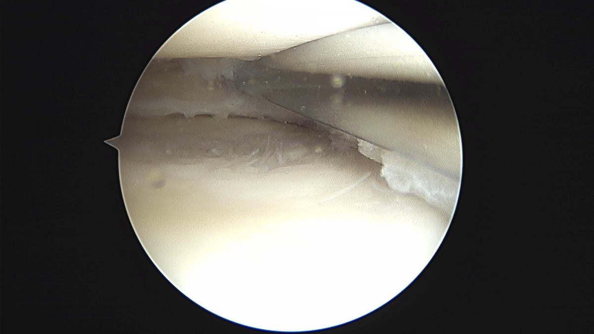 3cd48a8e02e388456e21d82dd041ccef_1652068038_4852.jpg