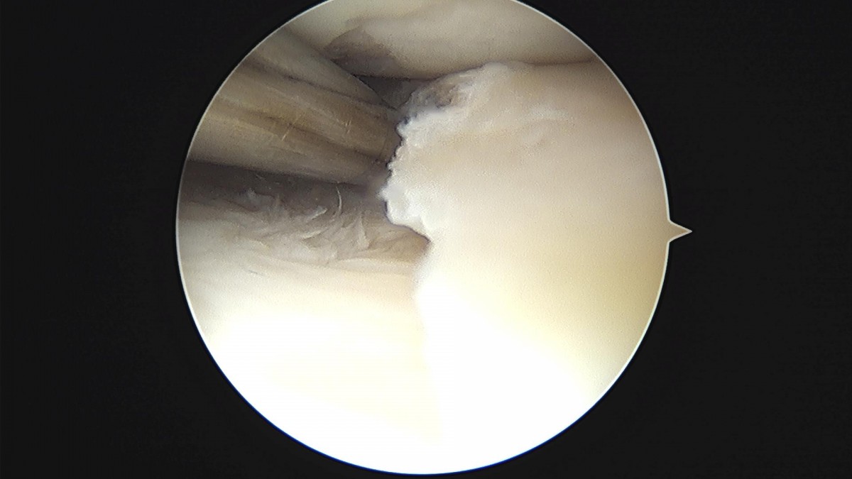 3cd48a8e02e388456e21d82dd041ccef_1652068039_187.jpg