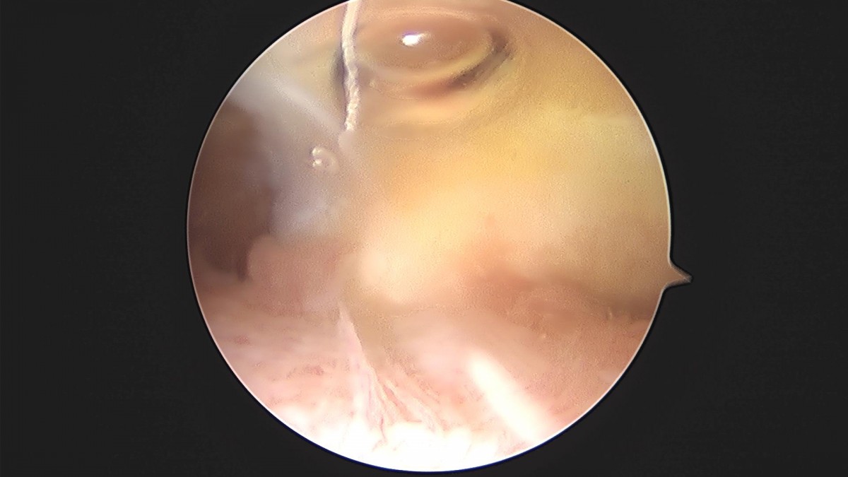 3cd48a8e02e388456e21d82dd041ccef_1652068249_3636.jpg