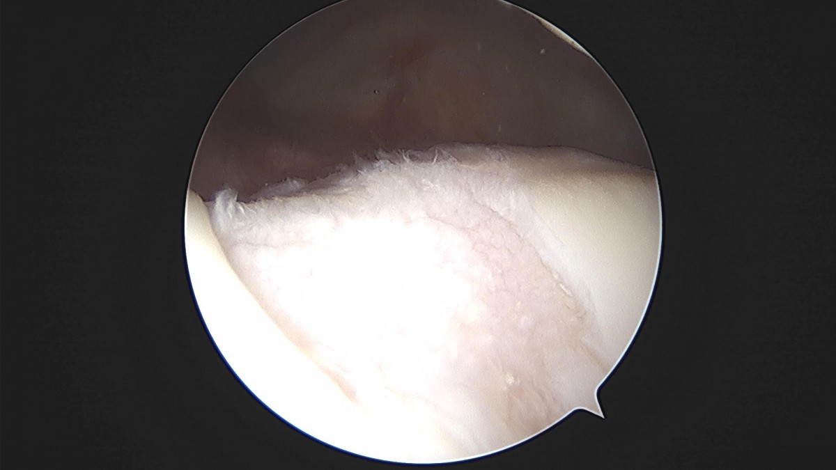 3cd48a8e02e388456e21d82dd041ccef_1652068250_0135.jpg