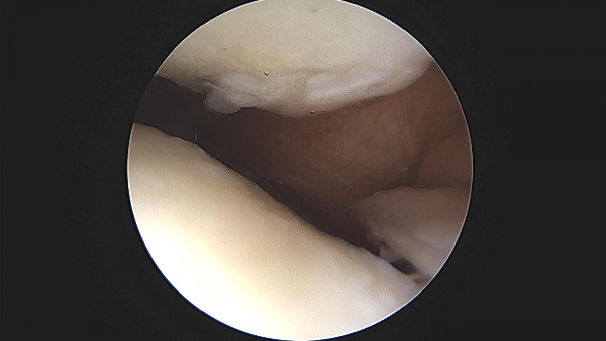 3cd48a8e02e388456e21d82dd041ccef_1652068251_3233.jpg