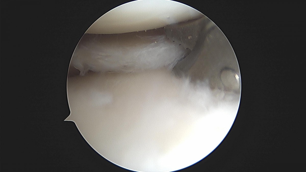 3cd48a8e02e388456e21d82dd041ccef_1652068255_4177.jpg