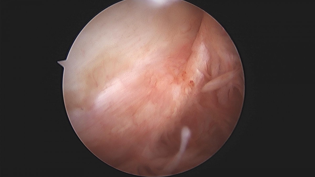 3cd48a8e02e388456e21d82dd041ccef_1652068332_4003.jpg