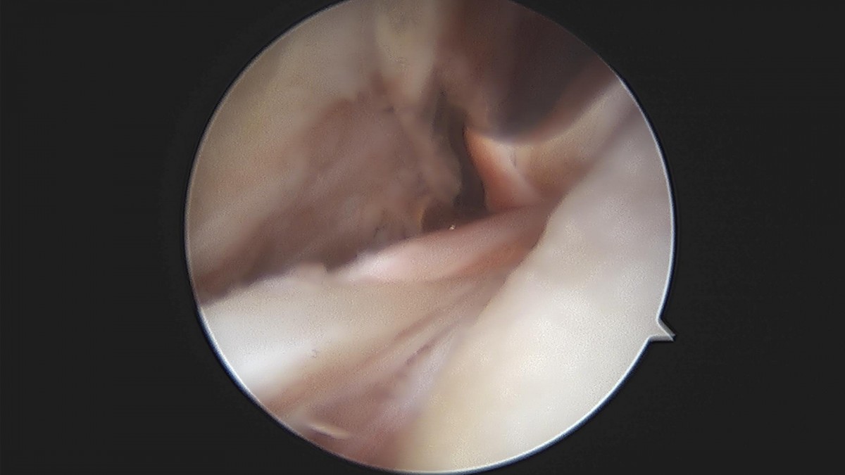 3cd48a8e02e388456e21d82dd041ccef_1652068333_0968.jpg