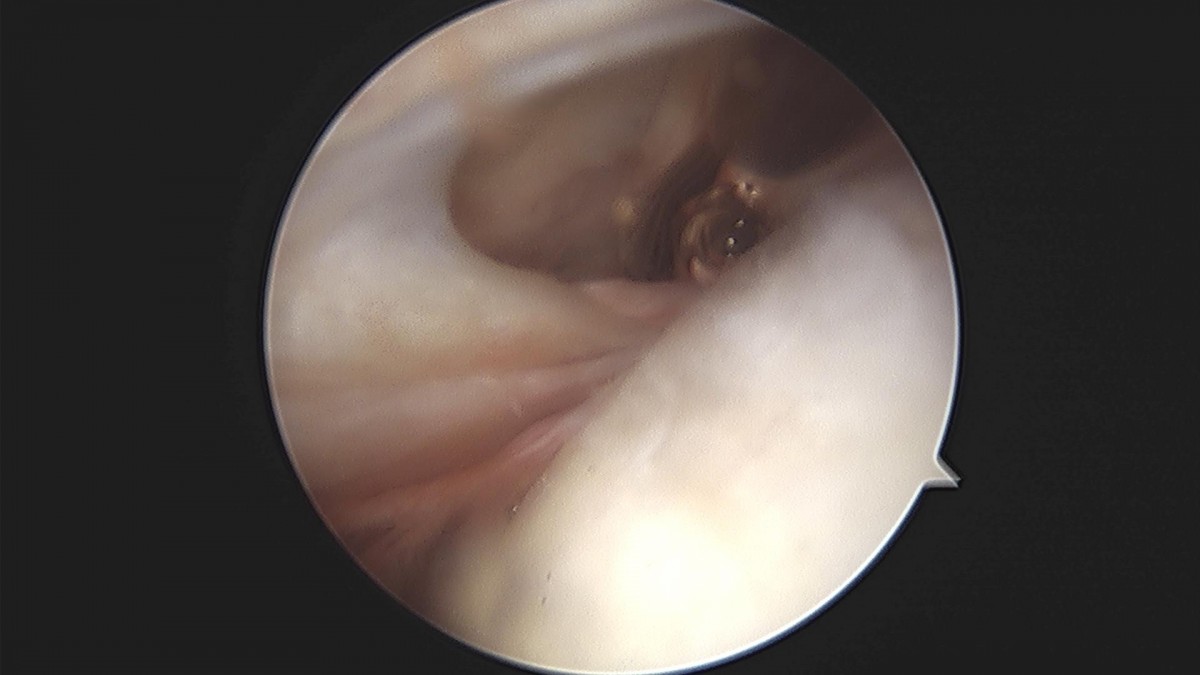 3cd48a8e02e388456e21d82dd041ccef_1652068333_8048.jpg