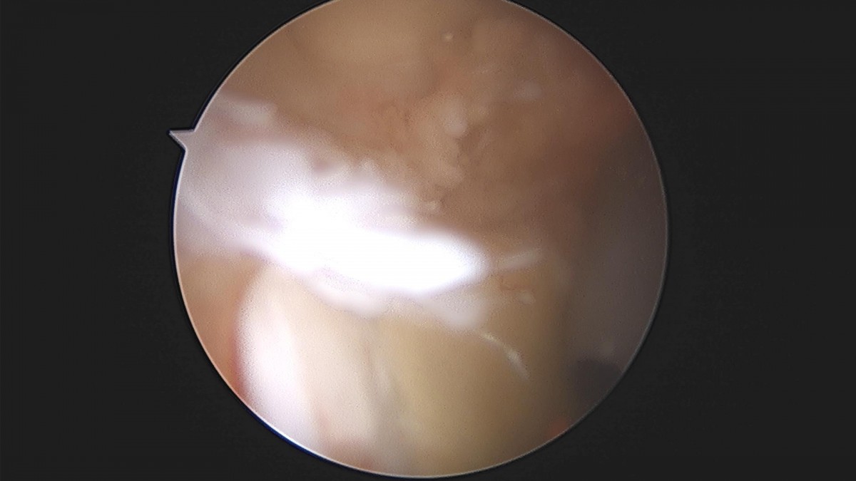 3cd48a8e02e388456e21d82dd041ccef_1652068334_5218.jpg