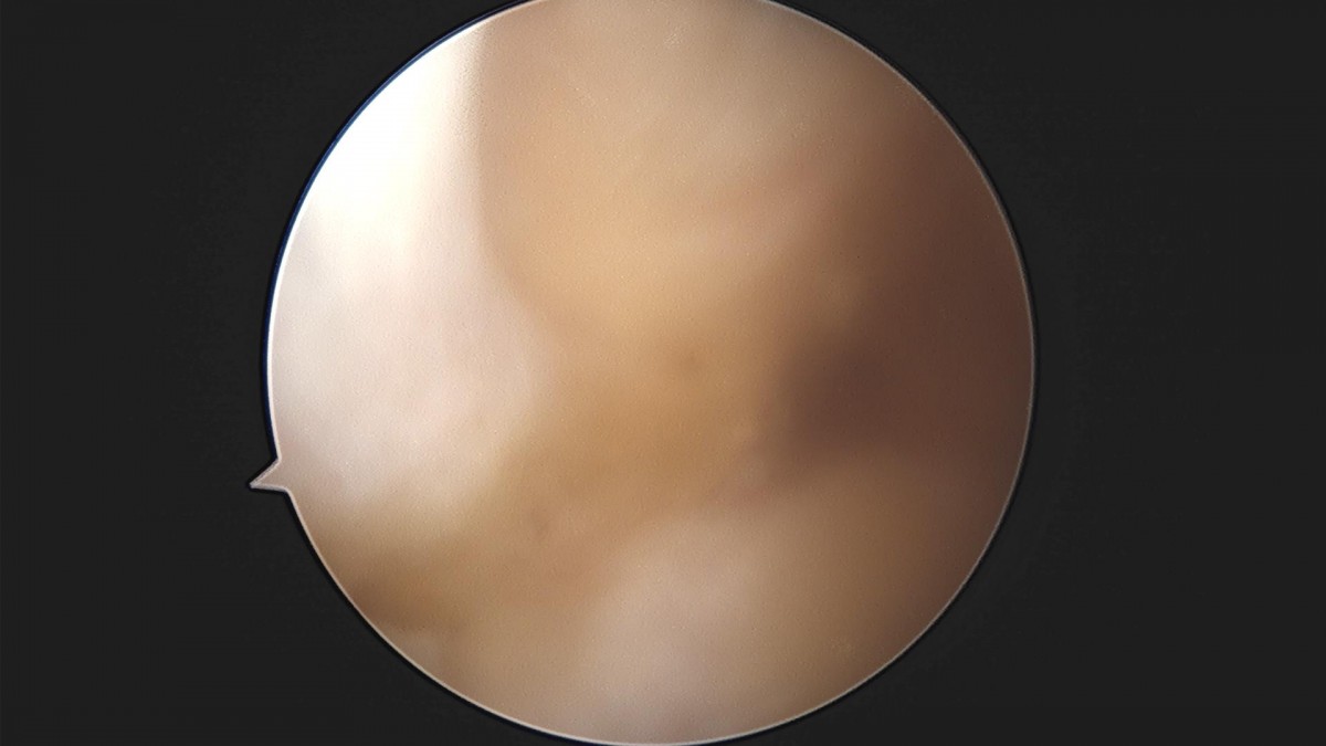 3cd48a8e02e388456e21d82dd041ccef_1652068336_5679.jpg