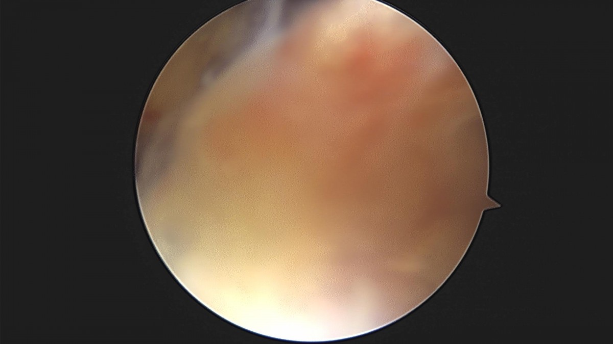 3cd48a8e02e388456e21d82dd041ccef_1652068337_2689.jpg