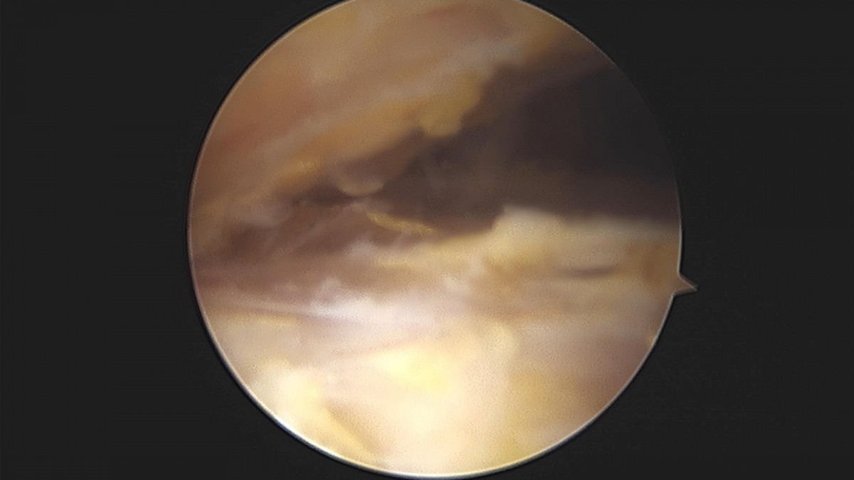 3cd48a8e02e388456e21d82dd041ccef_1652068337_9544.jpg