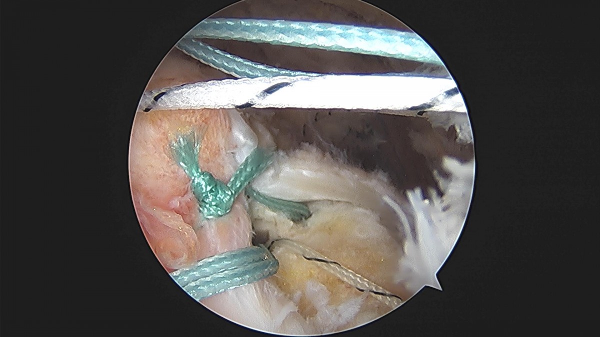 3cd48a8e02e388456e21d82dd041ccef_1652068352_698.jpg