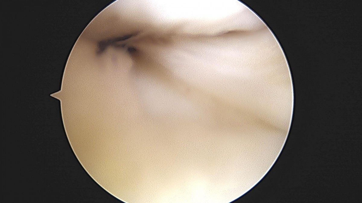3cd48a8e02e388456e21d82dd041ccef_1652068805_3549.jpg