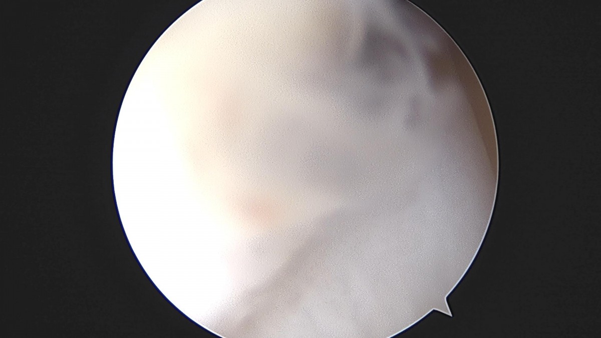 3cd48a8e02e388456e21d82dd041ccef_1652068808_552.jpg