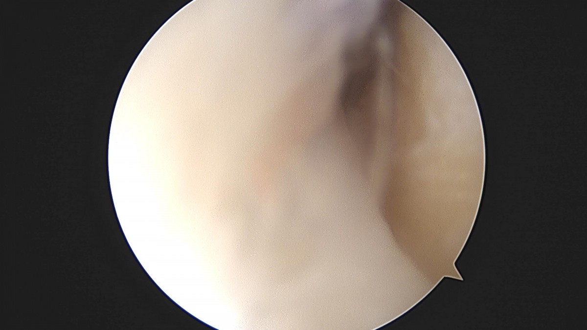 3cd48a8e02e388456e21d82dd041ccef_1652068809_2831.jpg
