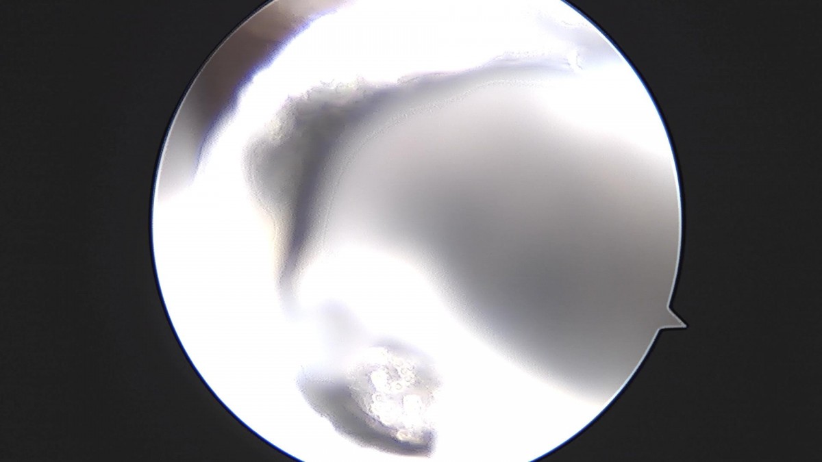 3cd48a8e02e388456e21d82dd041ccef_1652068810_5601.jpg