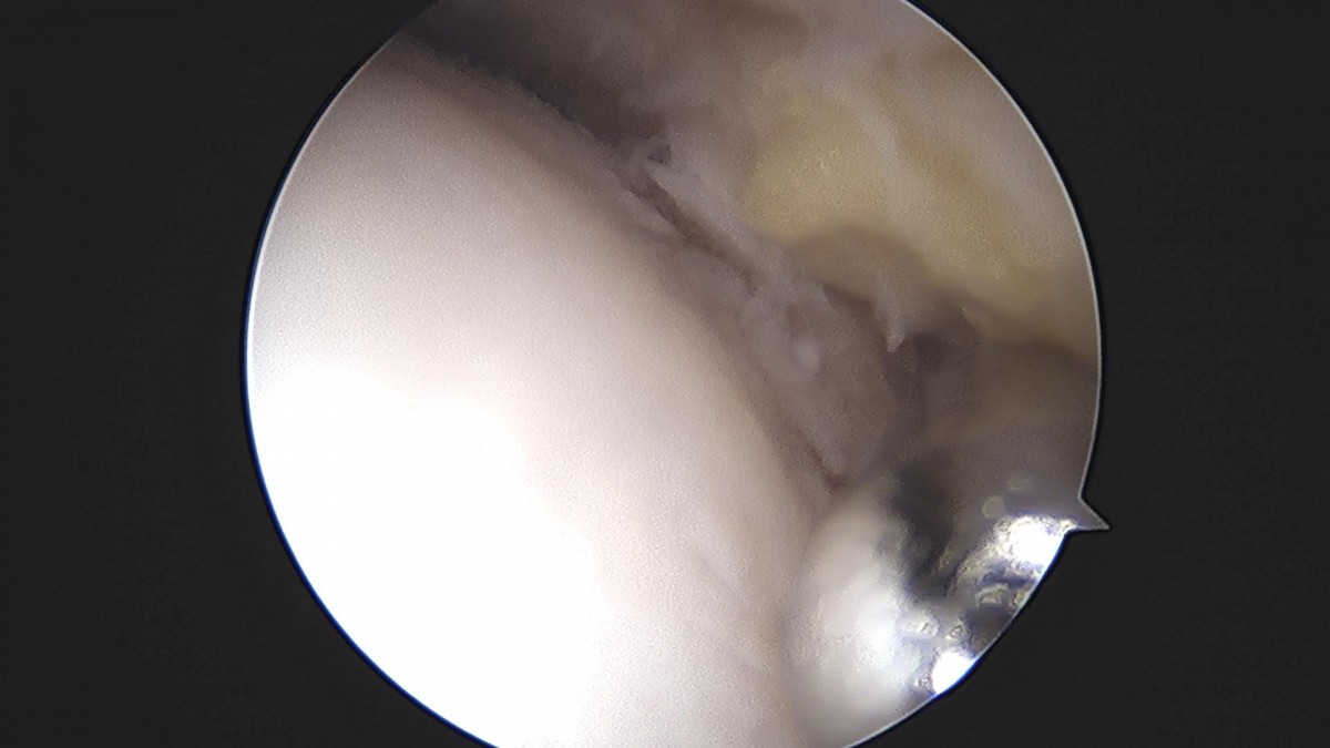 3cd48a8e02e388456e21d82dd041ccef_1652068811_2708.jpg