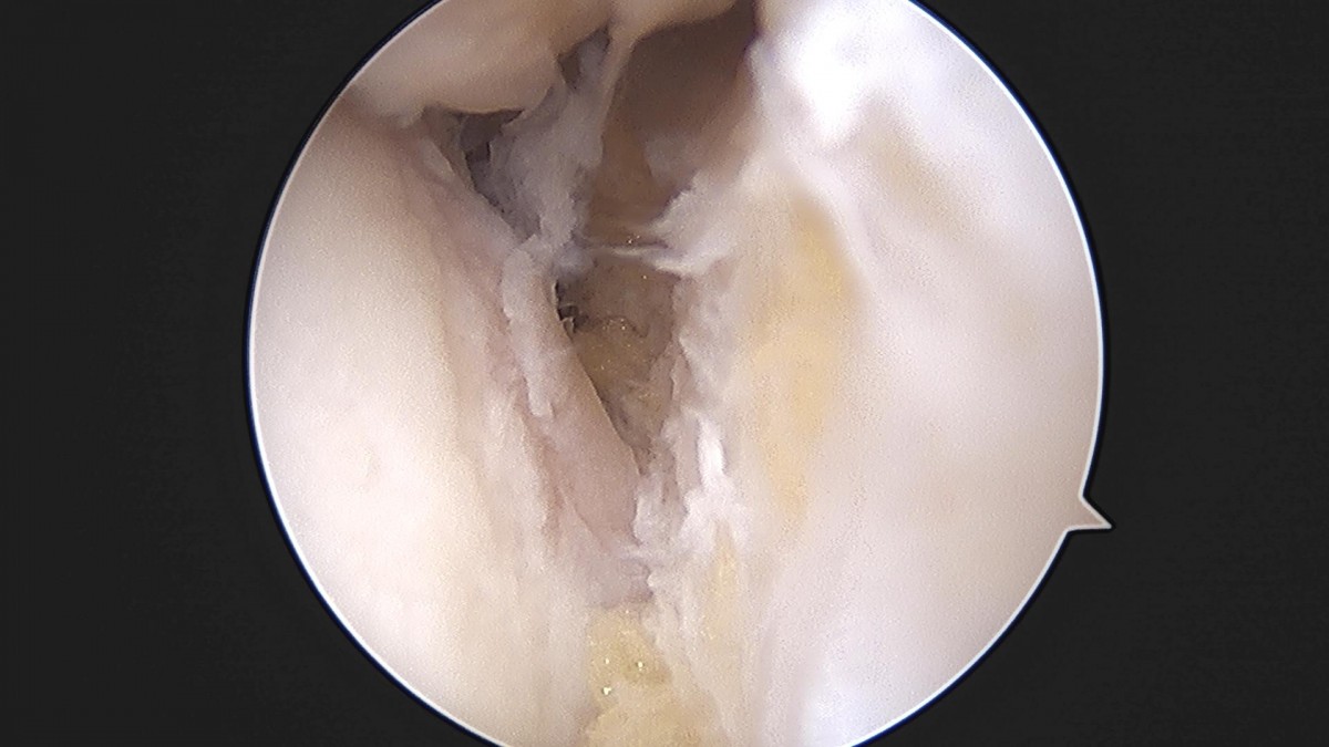 3cd48a8e02e388456e21d82dd041ccef_1652068811_9503.jpg